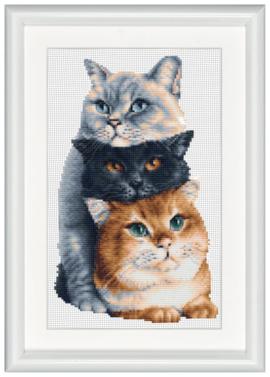 Embellish your living room with a gorgeous embroidery depiction of three cats posing in a playful manner on top of each other. The design brings various colors such as ginger, black, and grayish-snow, making the reflection of the bright eyes stand out. DSB cross stitch kits have easy to follow design charts and contain all items needed to facilitate embroidery without hassle. To cater to both beginners as well as advanced stitching artists.