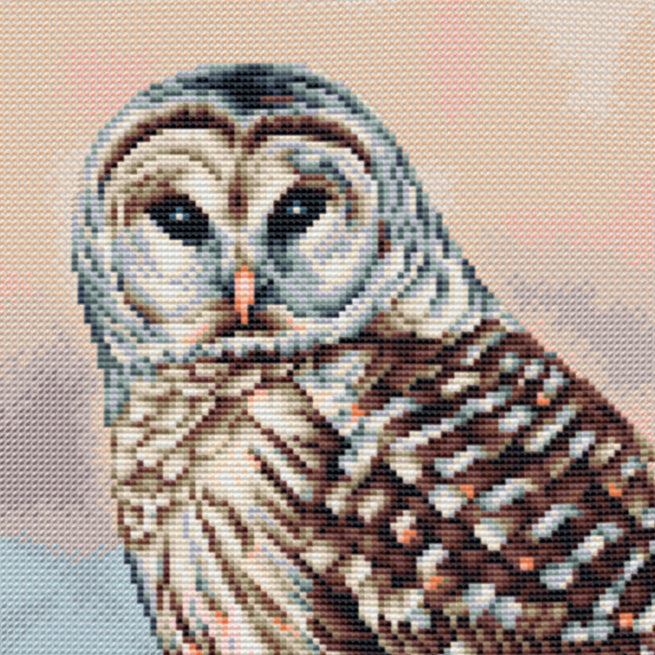 DSB014A Owl